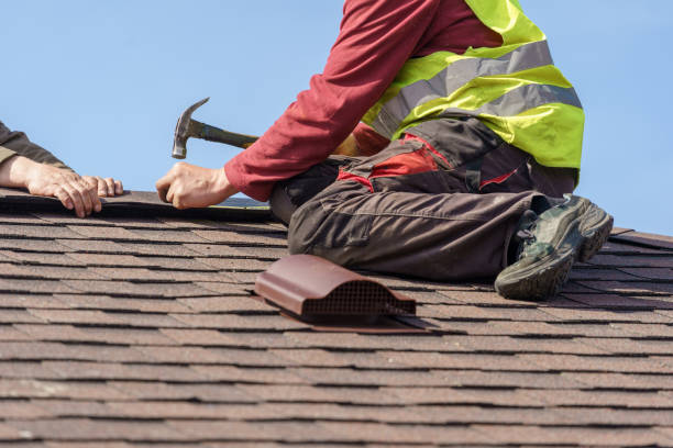 Best New Roof Installation  in Albion, NE