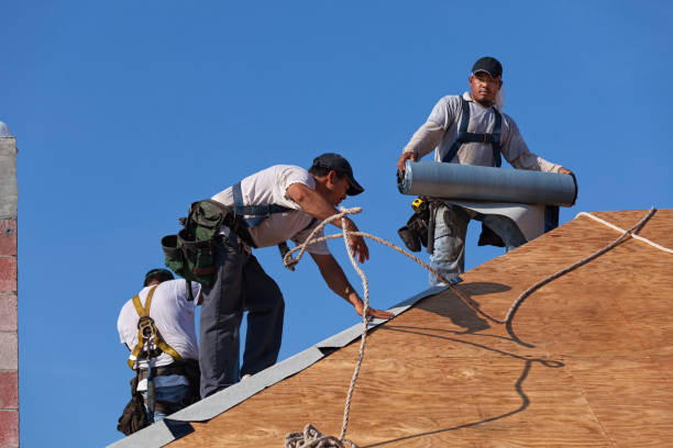Professional Roofing Contractor in Albion, NE
